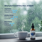 Rain Reverie  Essential Oil - Fresh Mint & Monsoon Breeze